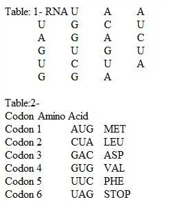 Unit 5 Experiment